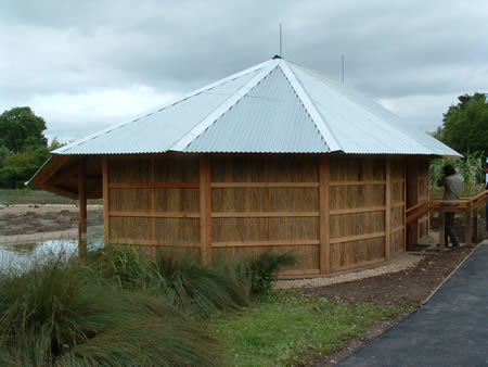Bird hide with reed cladding